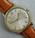 Light Slate Gray Timex Viscount Ref. 40473167 Serviced Vintage 1967 Automatic Mens Watch....34mm